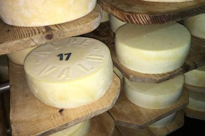 Formaggio di capra bio
